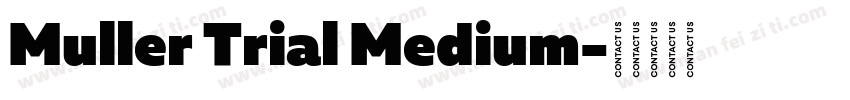 Muller Trial Medium字体转换